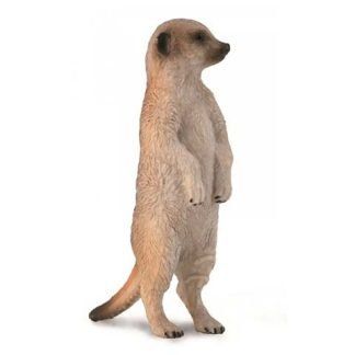 Suricata