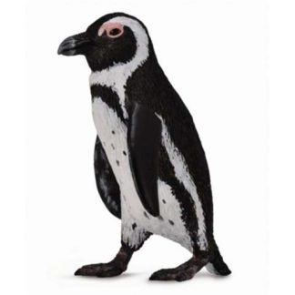 Pingüino del Cabo