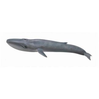 Ballena Azul