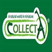 Collecta