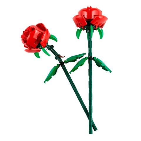 Rosas - Imagen 2