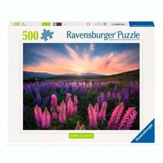 500 Lupinos